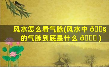 风水怎么看气脉(风水中 🐧 的气脉到底是什么 🐈 )